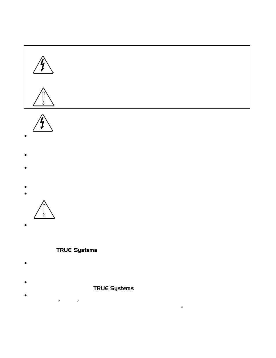 Safety and operating precautions | TRUE Systems P2 ANALOG User Manual | Page 2 / 18