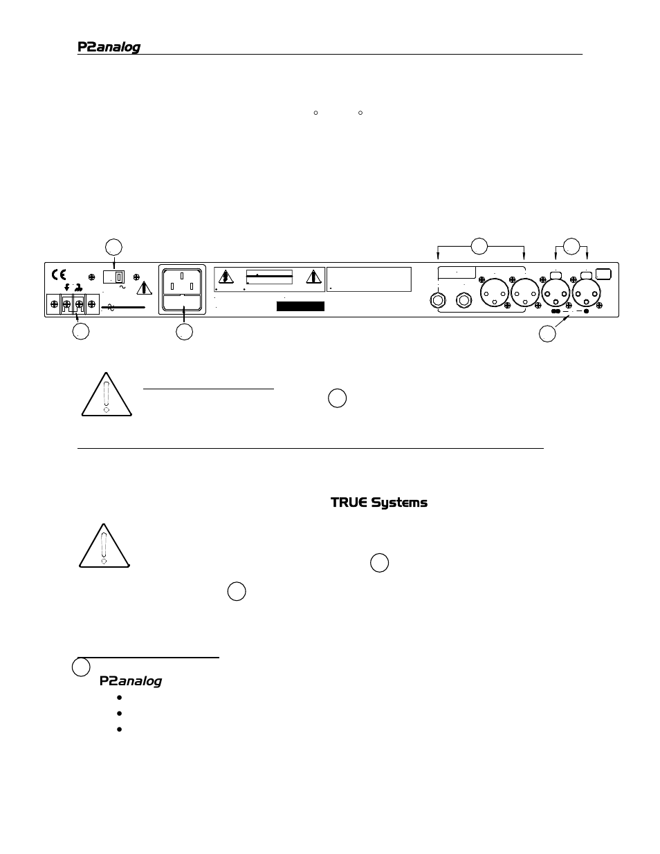 Operation, Analog | TRUE Systems P2 ANALOG User Manual | Page 8 / 18