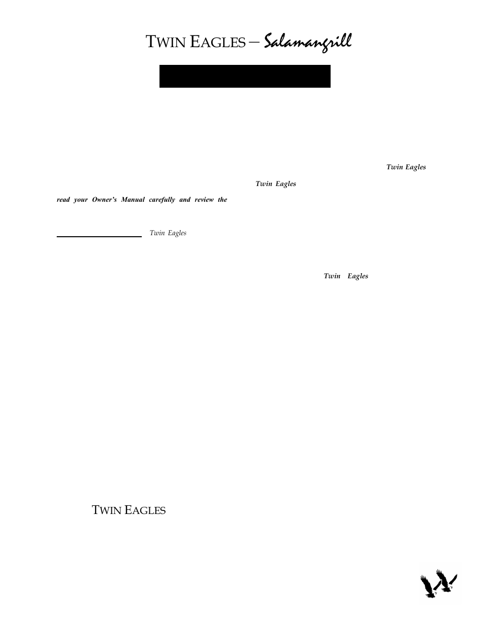 Salamangrill, Limited product warranty, Products-crafted with pride in the usa | Agles | Twin Eagles TESG-24N User Manual | Page 14 / 15