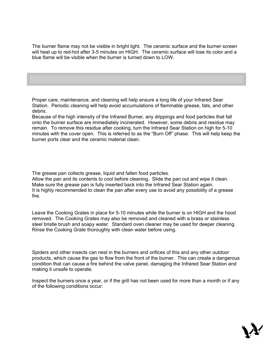 Burner flame, Cleaning & maintenance | Twin Eagles TPSS-13F User Manual | Page 12 / 13