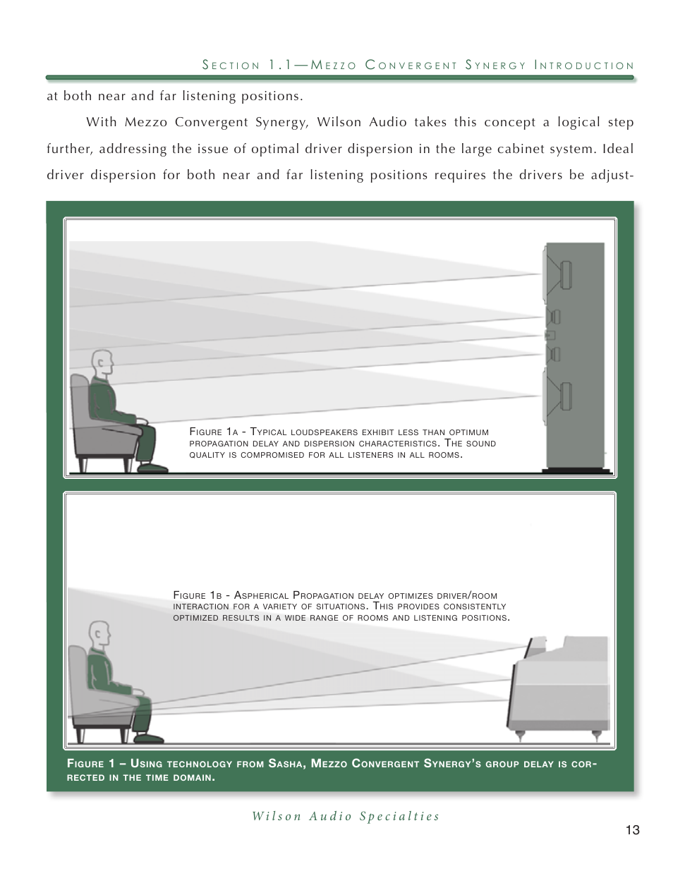 Wilson Audio Mezzo Convergent Synergy User Manual | Page 13 / 97