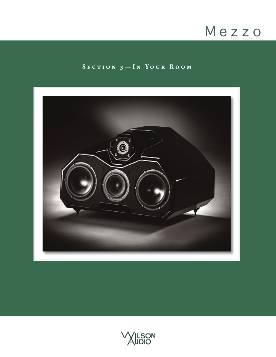 Wilson Audio Mezzo Convergent Synergy User Manual | Page 21 / 97