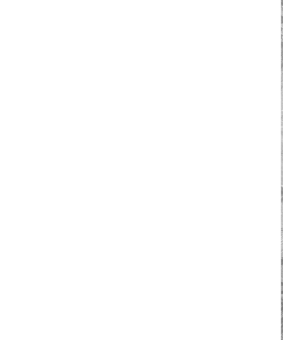 Wilson Audio Cub Series 2 User Manual | Page 58 / 64