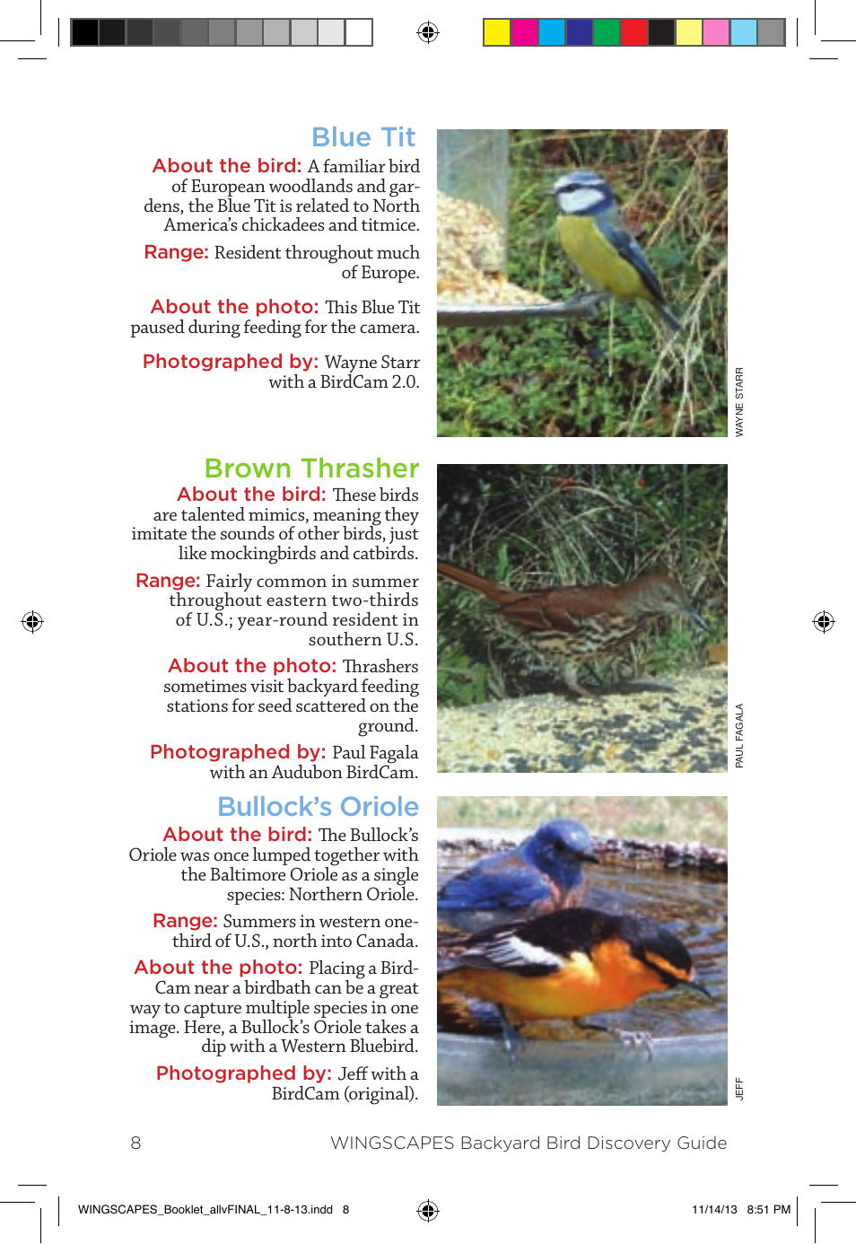 Blue tit brown thrasher bullock’s oriole | Wingscapes Birdcam Discovery Guide User Manual | Page 10 / 40