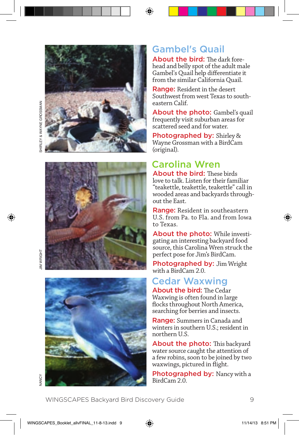 Gambel's quail, Carolina wren cedar waxwing | Wingscapes Birdcam Discovery Guide User Manual | Page 11 / 40