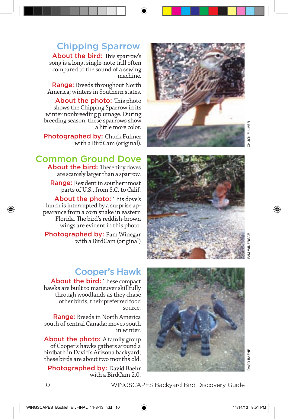 Chipping sparrow common ground dove cooper’s hawk | Wingscapes Birdcam Discovery Guide User Manual | Page 12 / 40