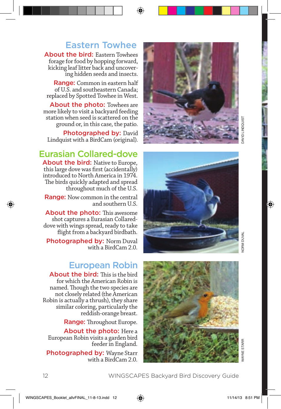 Wingscapes Birdcam Discovery Guide User Manual | Page 14 / 40