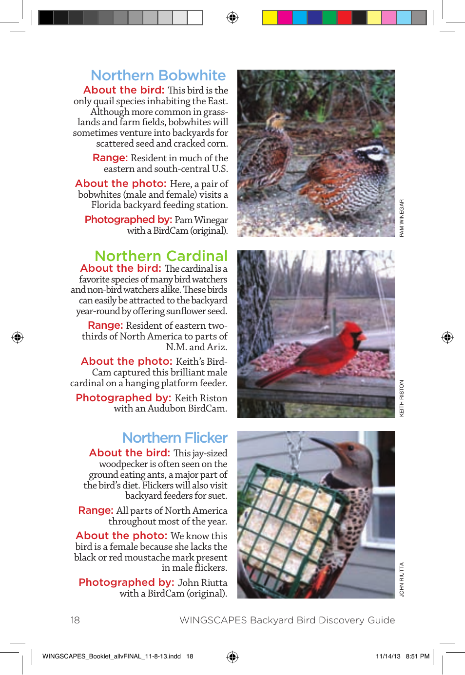 Wingscapes Birdcam Discovery Guide User Manual | Page 20 / 40