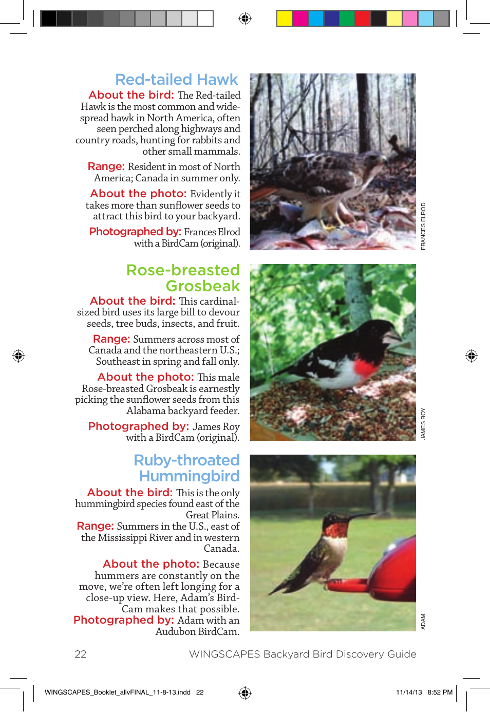 Wingscapes Birdcam Discovery Guide User Manual | Page 24 / 40