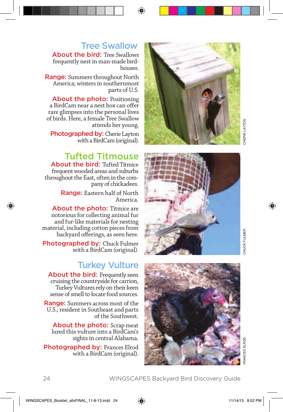 Tree swallow tufted titmouse turkey vulture | Wingscapes Birdcam Discovery Guide User Manual | Page 26 / 40