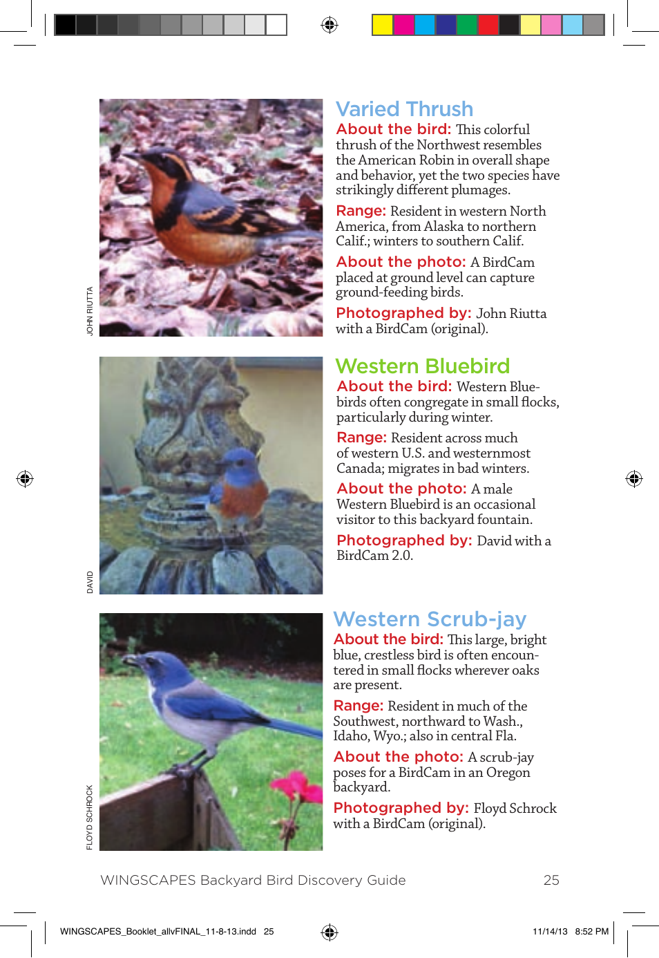 Varied thrush western bluebird western scrub-jay | Wingscapes Birdcam Discovery Guide User Manual | Page 27 / 40