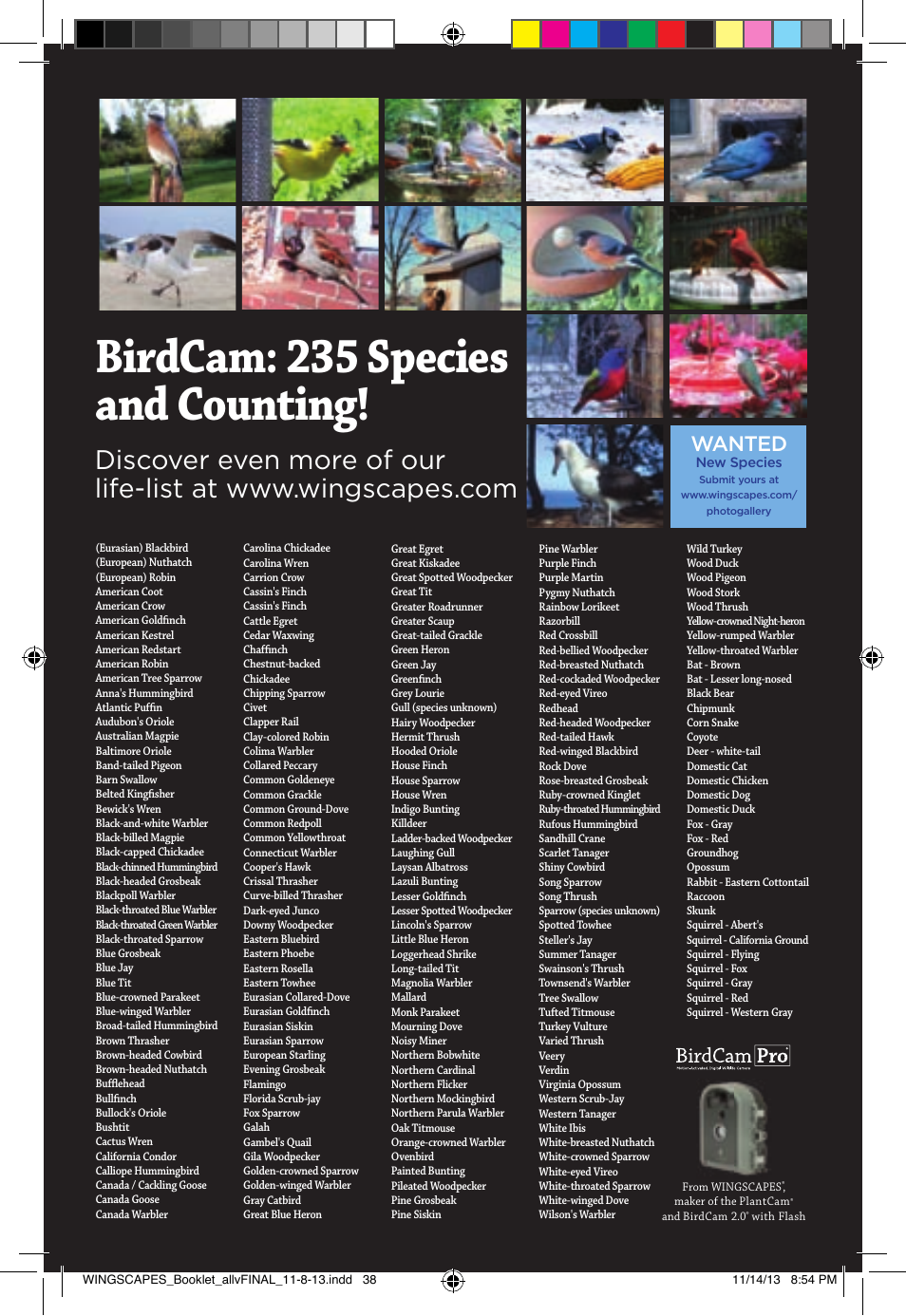 Birdcam: 235 species and counting, Wanted | Wingscapes Birdcam Discovery Guide User Manual | Page 40 / 40