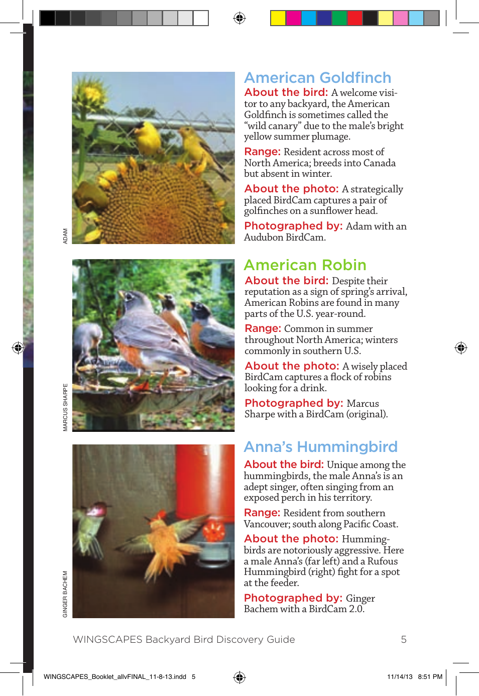 American goldfinch, American robin anna’s hummingbird | Wingscapes Birdcam Discovery Guide User Manual | Page 7 / 40