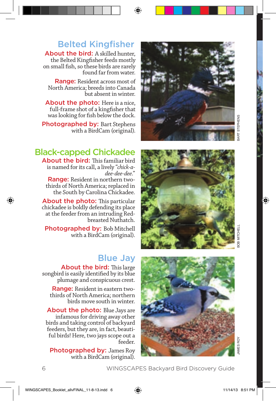 Bald eagle, Belted kingfisher black-capped chickadee blue jay | Wingscapes Birdcam Discovery Guide User Manual | Page 8 / 40