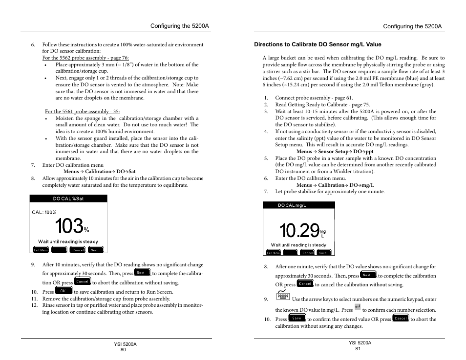 Directions to calibrate do sensor mg/l value | YSI 5200A User Manual | Page 41 / 128