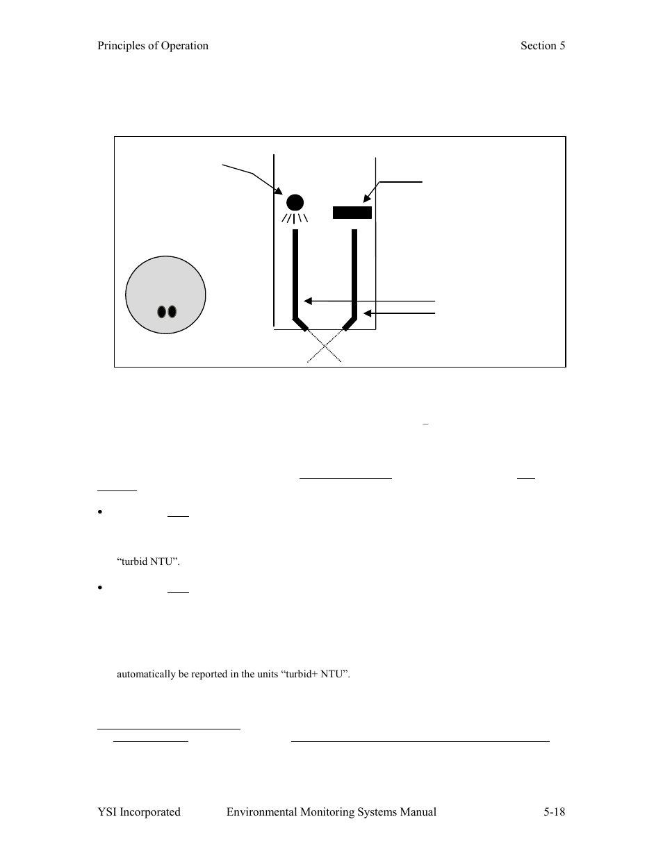 Optical fiber, Photodetector, Light source | Near infrared led | YSI 600LS - User Manual User Manual | Page 256 / 379