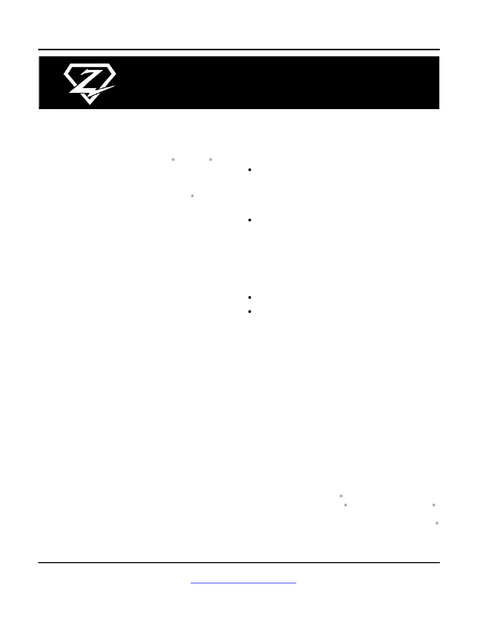 Zipper's Performance 317-105 User Manual | 10 pages