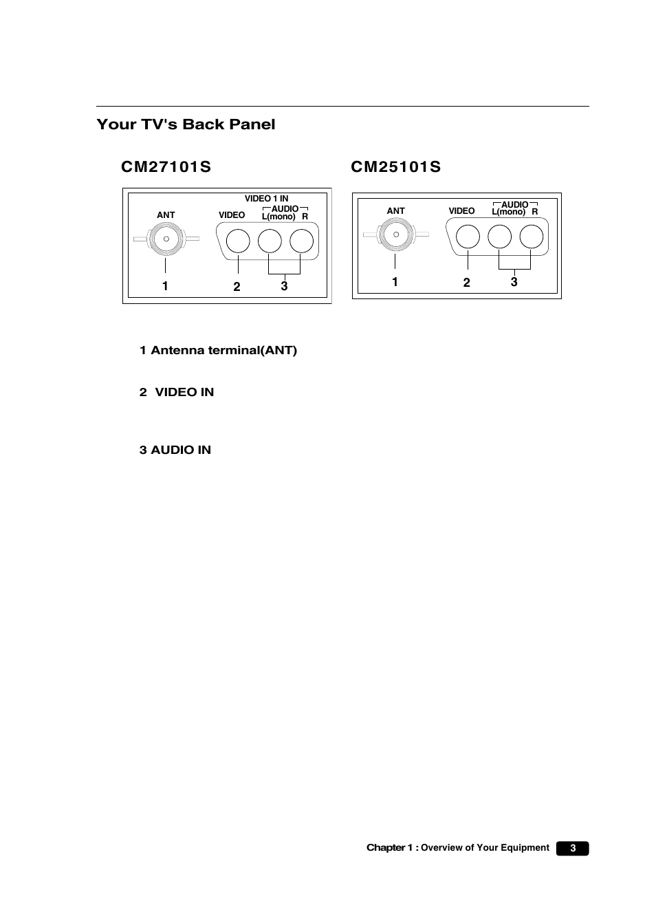 Your tv's back panel | Curtis Mathes CM25101S User Manual | Page 8 / 40