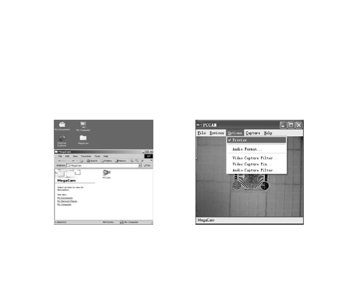 Web cam, Netmeeting | Cobra Digital DC4200 User Manual | Page 22 / 24