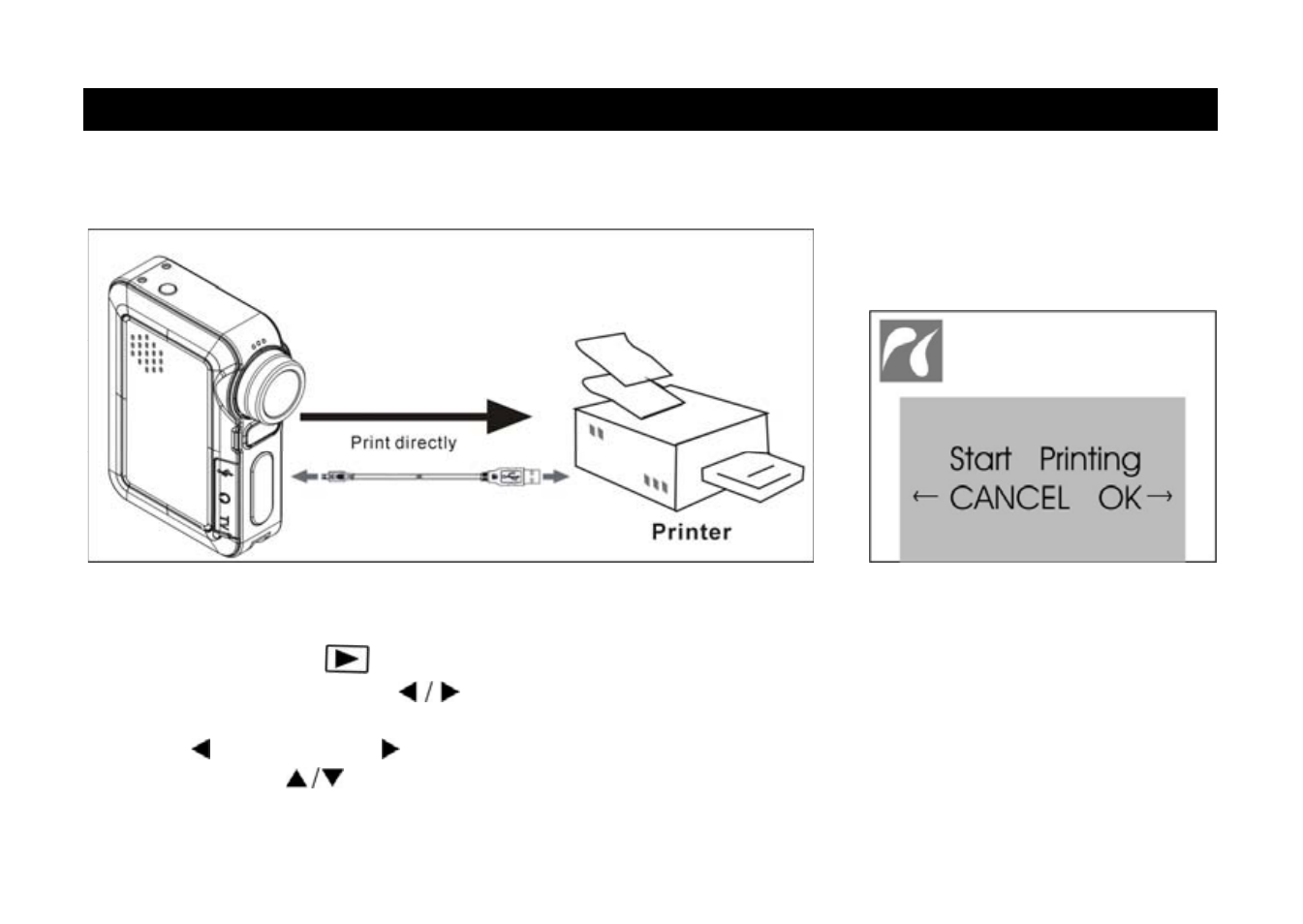 50 print photos | Cobra Digital DV500 User Manual | Page 50 / 54