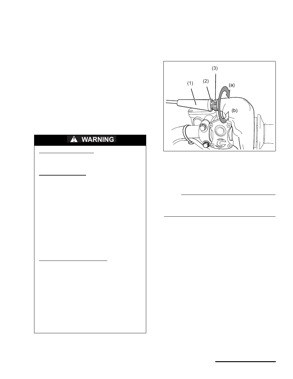 Adjusting the throttle freeplay, Warning | Cannondale S440 User Manual | Page 17 / 105