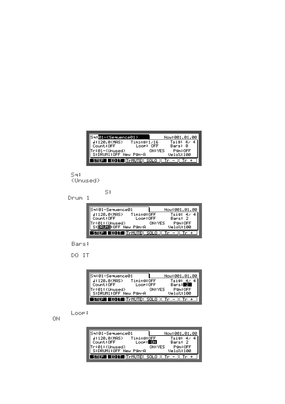 Example 2: recording a loop | Akai MPC 2000xl User Manual | Page 39 / 208