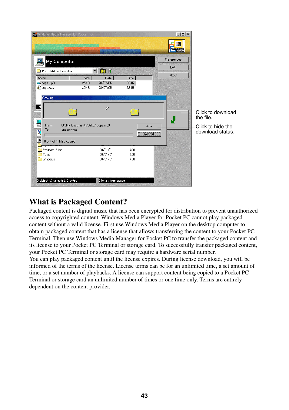 What is packaged content | Casio Pocket PC Terminal User Manual | Page 43 / 67