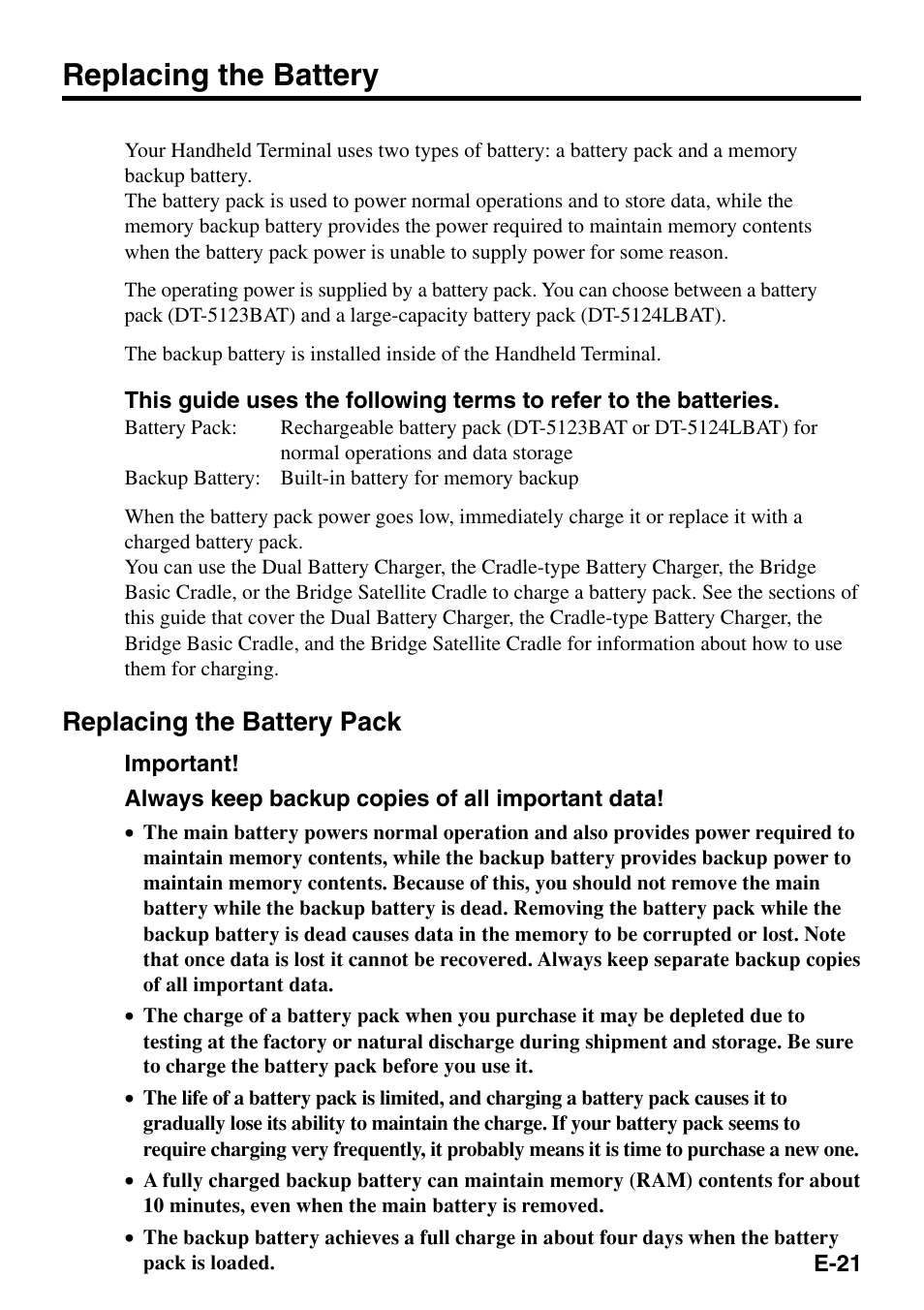 Replacing the battery, Replacing the battery pack | Casio IT-500 User Manual | Page 23 / 58