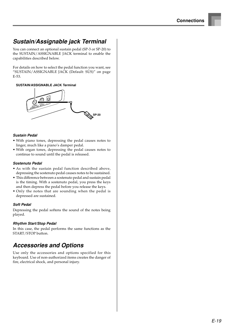 Sustain/assignable jack terminal, Accessories and options | Casio WK110 User Manual | Page 21 / 71