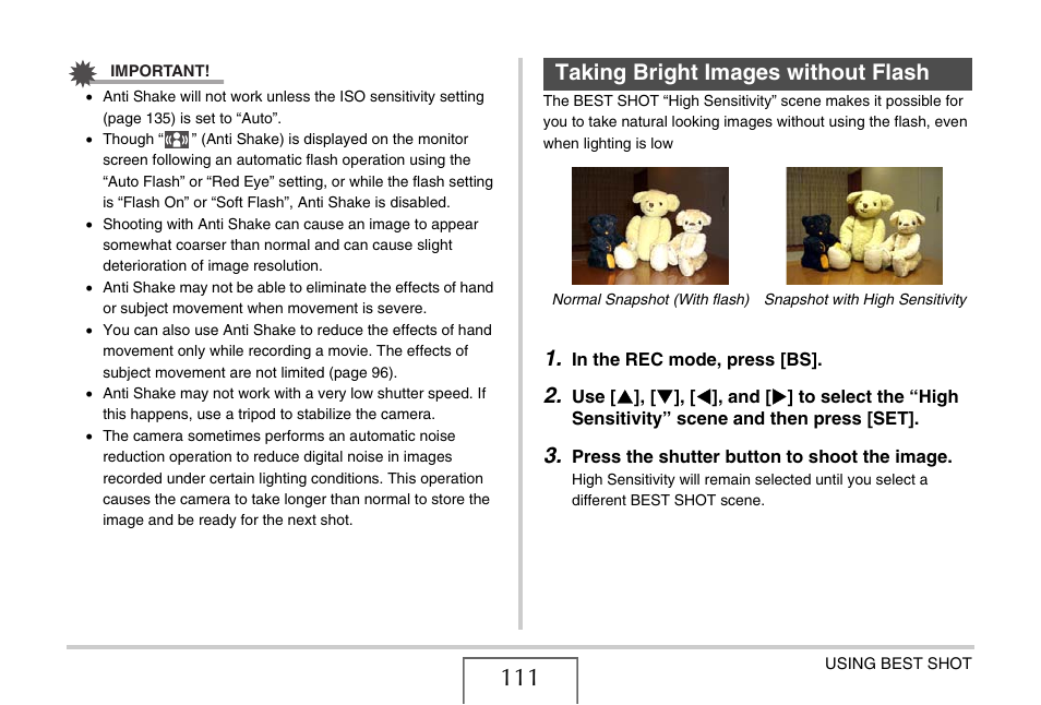 Taking bright images without flash, E 111) | Casio EX-S880 User Manual | Page 111 / 293