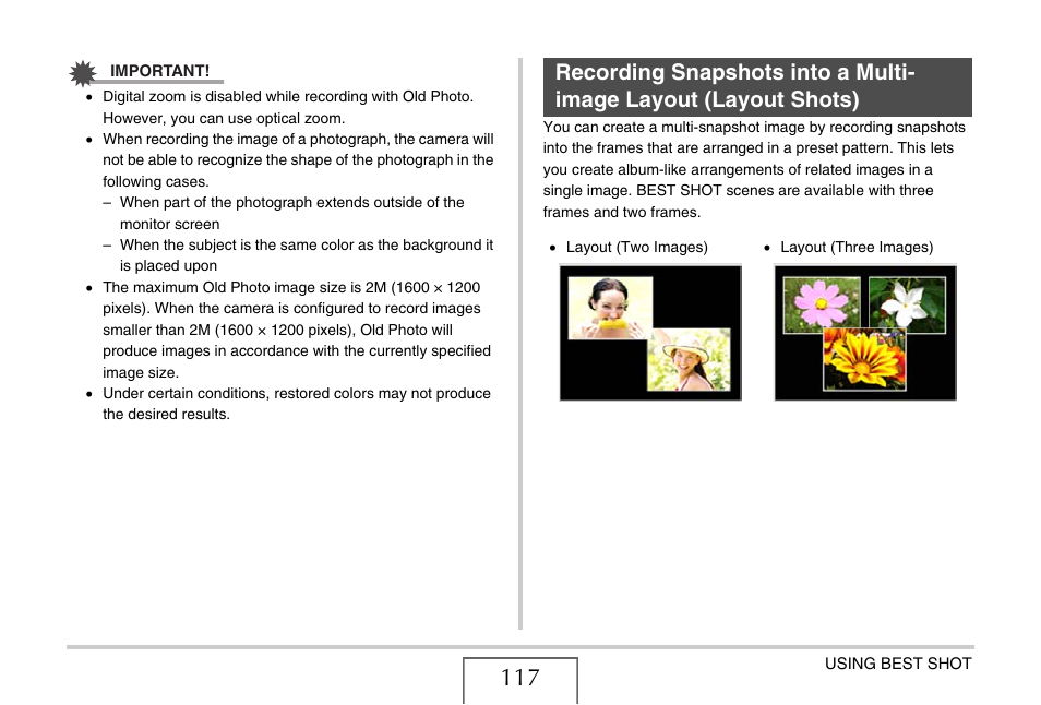 Casio EX-S880 User Manual | Page 117 / 293