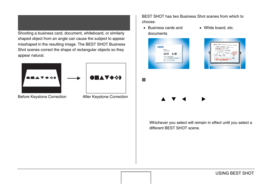 Casio EX-Z1000 User Manual | Page 101 / 266