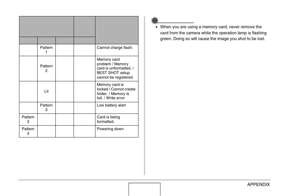 Casio EX-Z1000 User Manual | Page 249 / 266