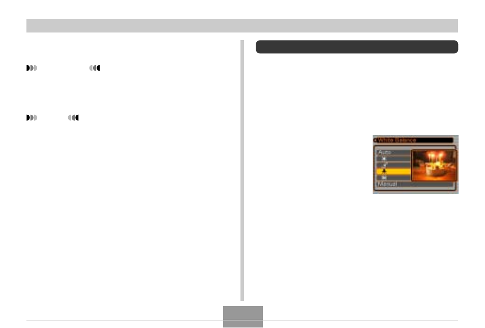 Casio EX-M2 User Manual | Page 43 / 117