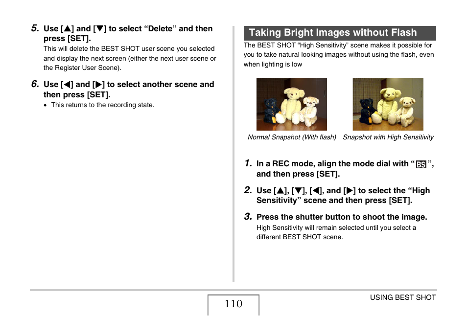 Taking bright images without flash, E 110) | Casio EX-V8 User Manual | Page 110 / 289