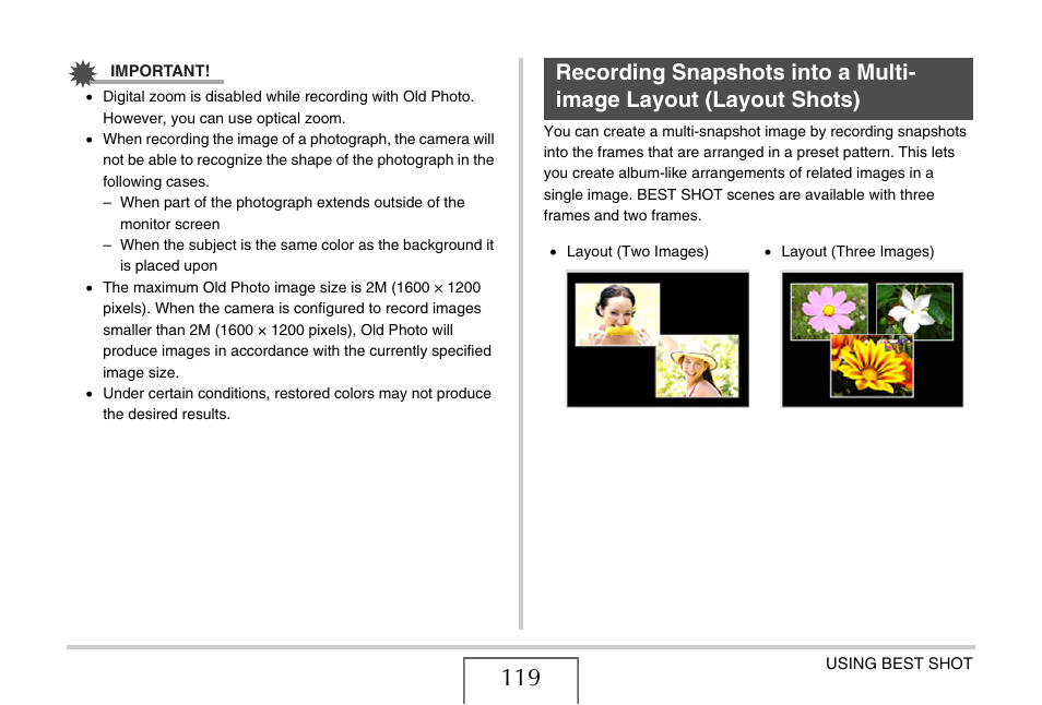 Casio EX-V8 User Manual | Page 119 / 289