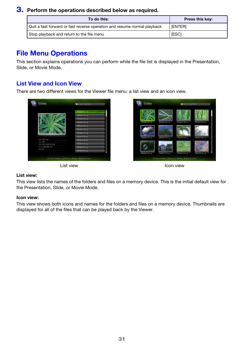 File menu operations, List view and icon view | Casio XJ-H1650 User Manual | Page 31 / 69