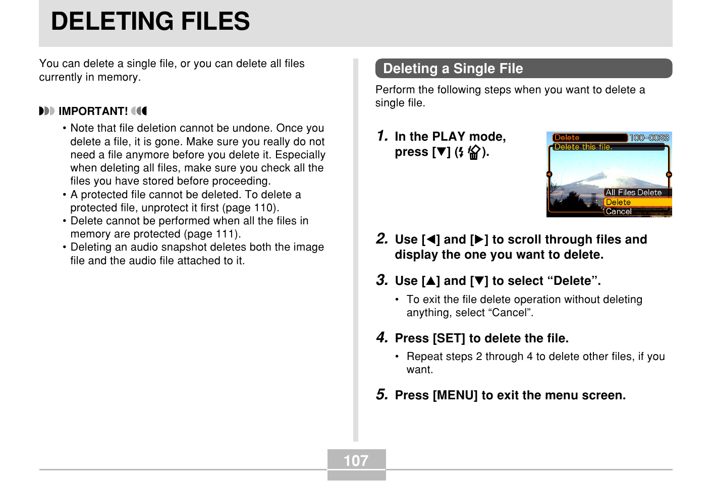 Deleting files, Deleting a single file | Casio E MULTI PJ CAMERA Multifunctional Camera System User Manual | Page 107 / 174