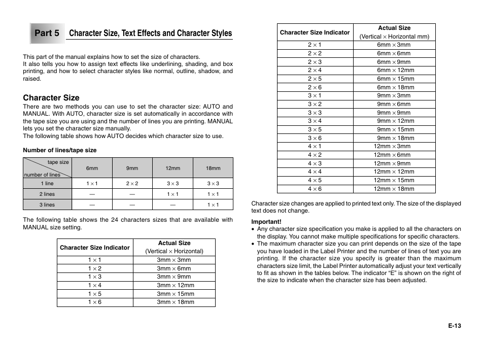 Character size | Casio KL-780 User Manual | Page 14 / 28