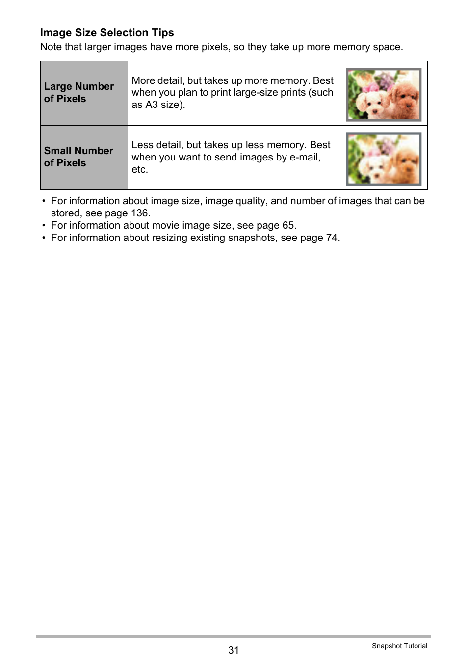Casio EXILIM EX Z 33 User Manual | Page 31 / 142