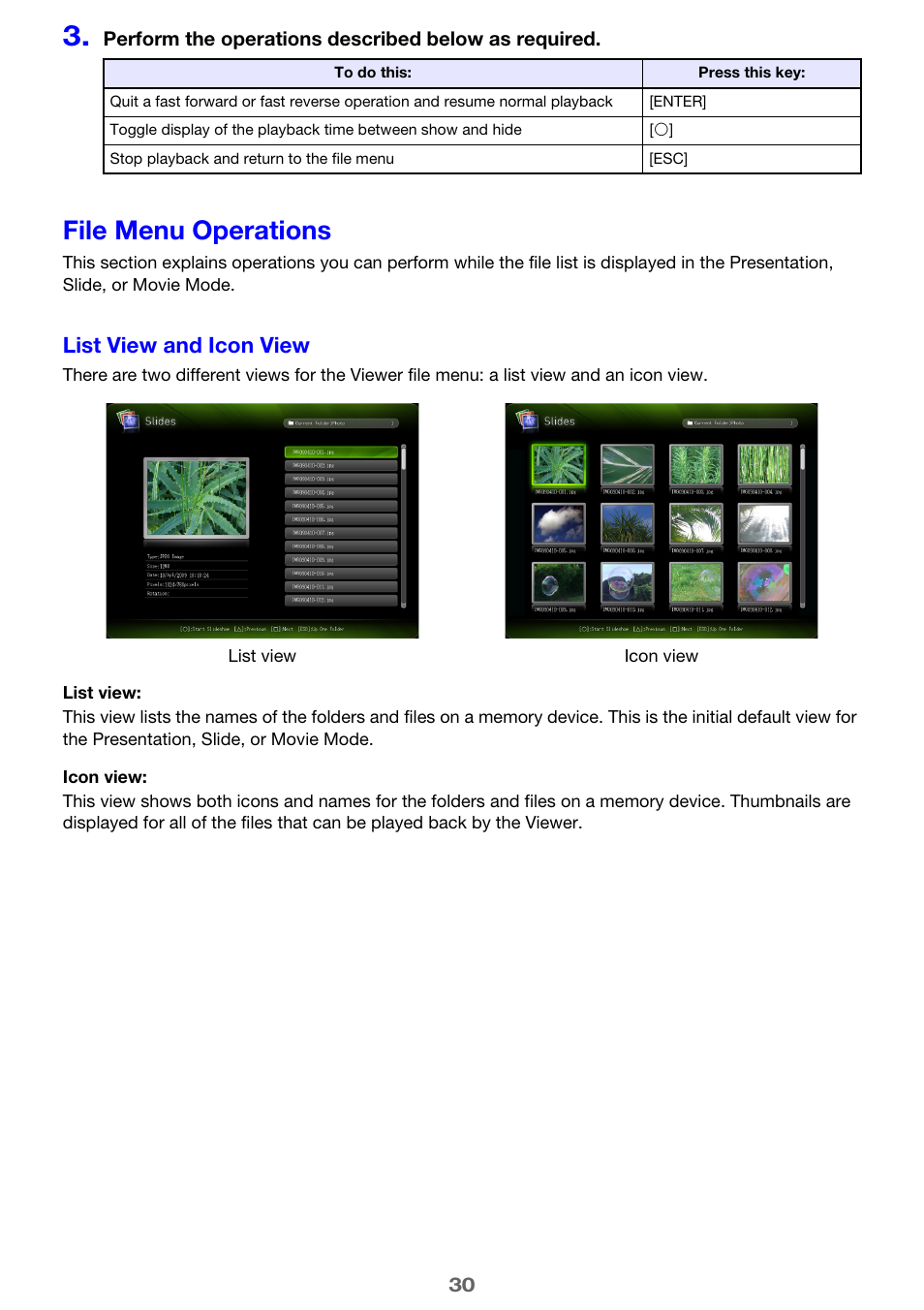File menu operations, List view and icon view | Casio XJ-A135 User Manual | Page 30 / 66