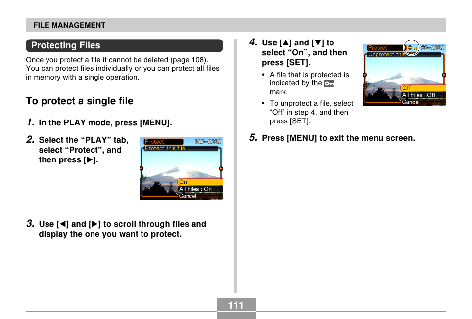 Protecting files, To protect a single file | Casio R51 User Manual | Page 111 / 184