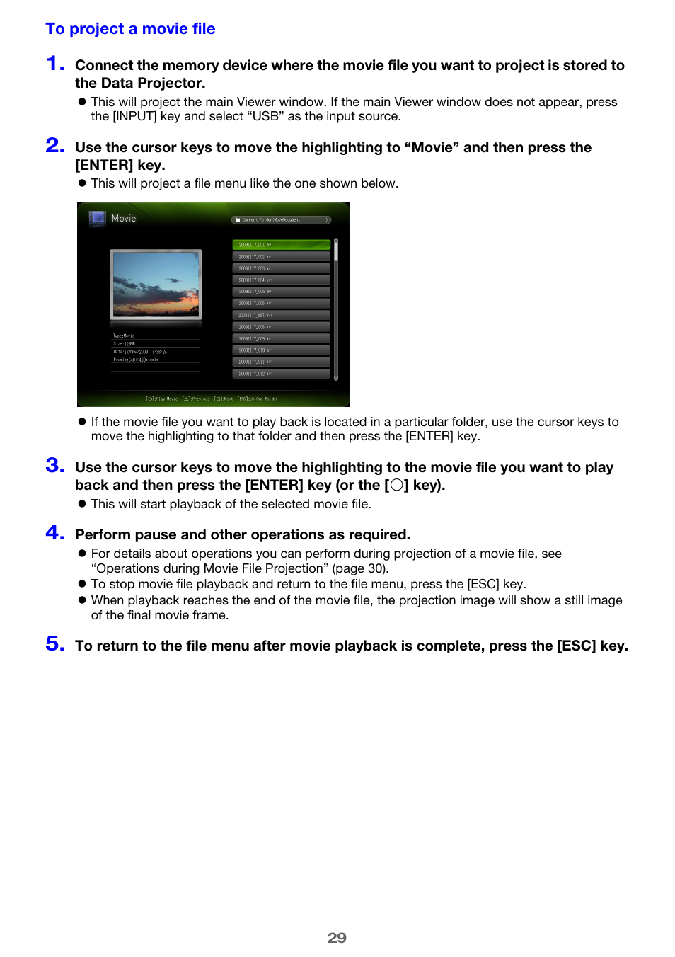 Casio XJ-M245 User Manual | Page 29 / 67