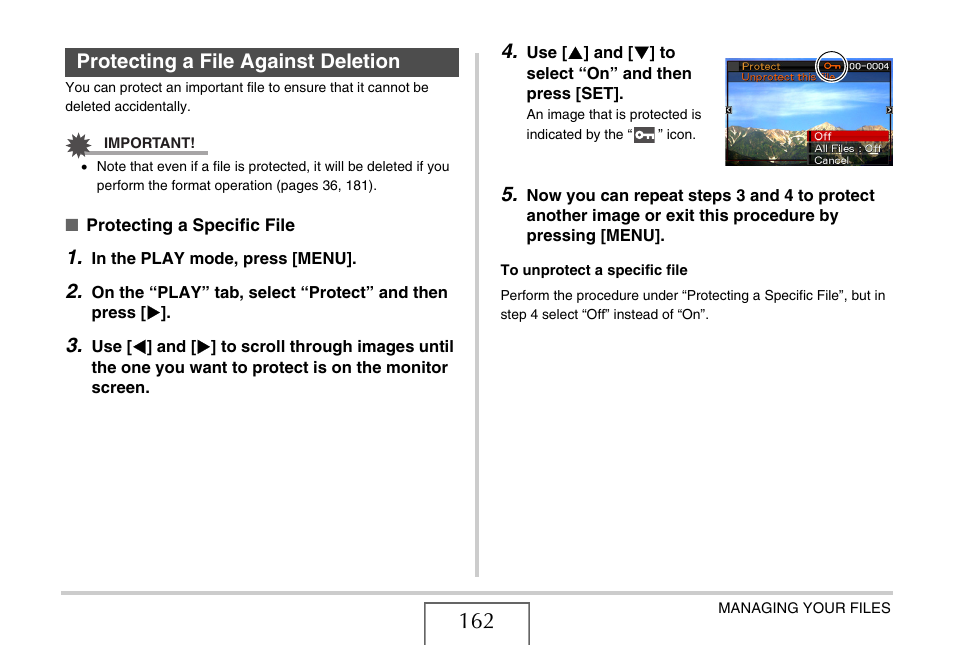 Protecting a file against deletion | Casio YC-430 PJ User Manual | Page 162 / 248