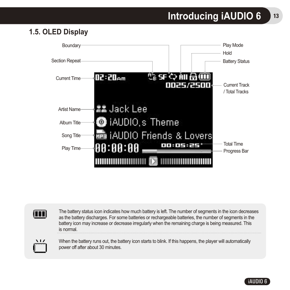 Introducing iaudio 6, Oled display | Cowon Systems 6 User Manual | Page 13 / 62