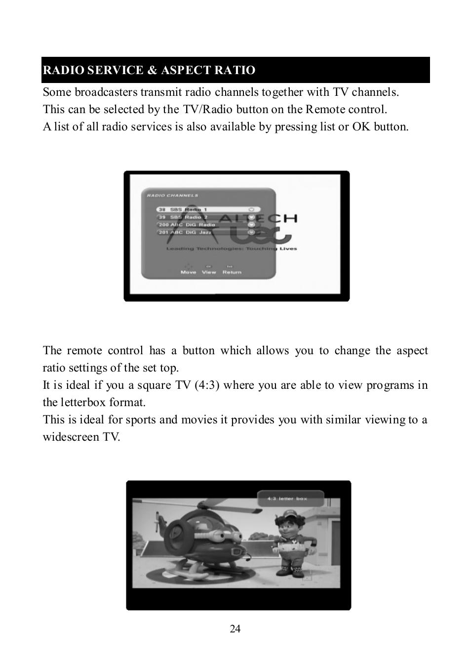 Radio service & aspect ratio | Altech UEC DT 3900 User Manual | Page 24 / 27