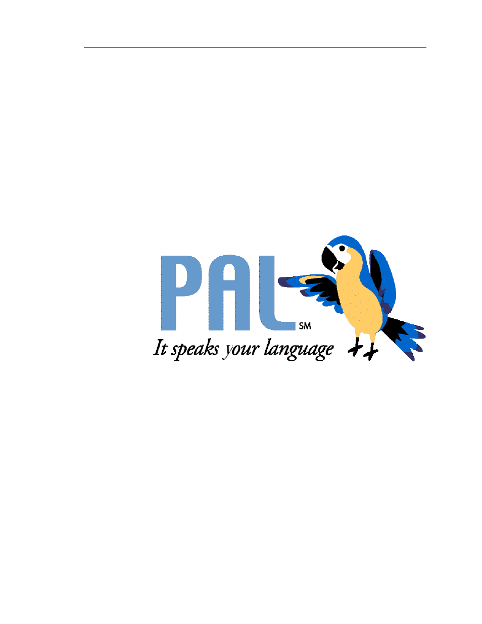 AMT Datasouth PAL User Manual | 207 pages