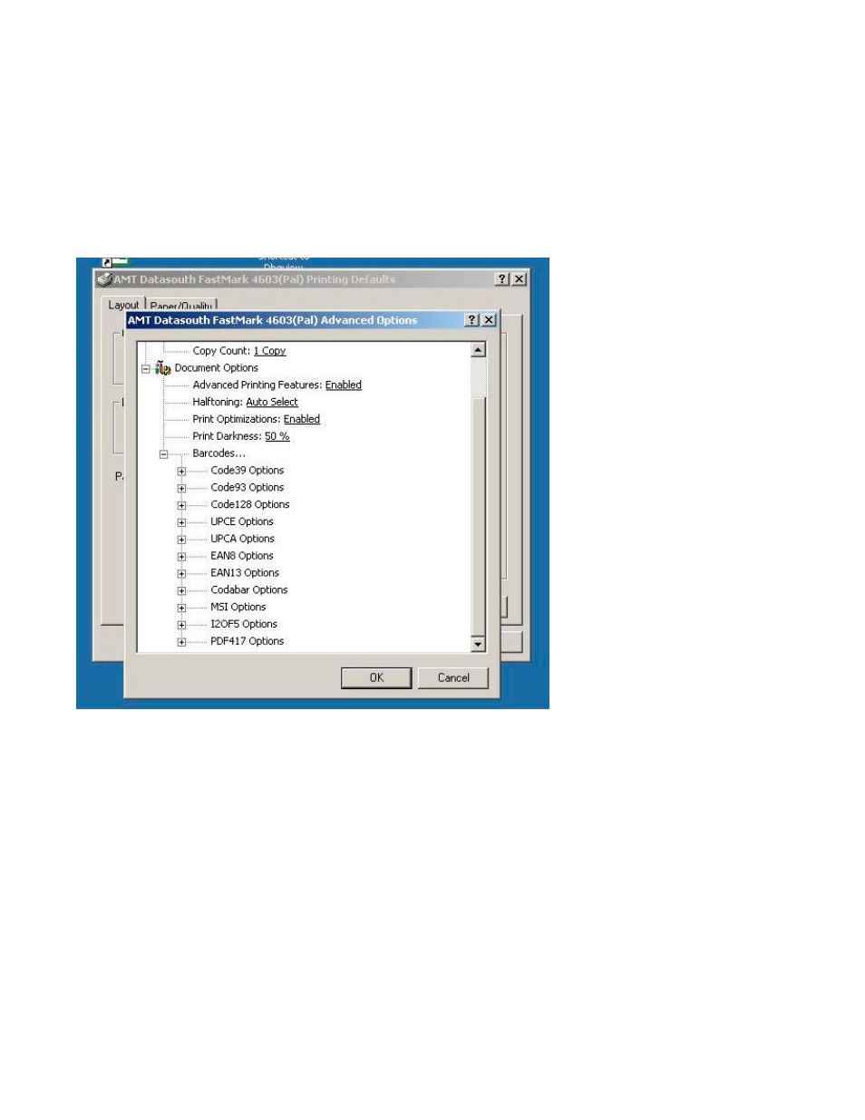 AMT Datasouth Fastmark 600 User Manual | Page 61 / 89