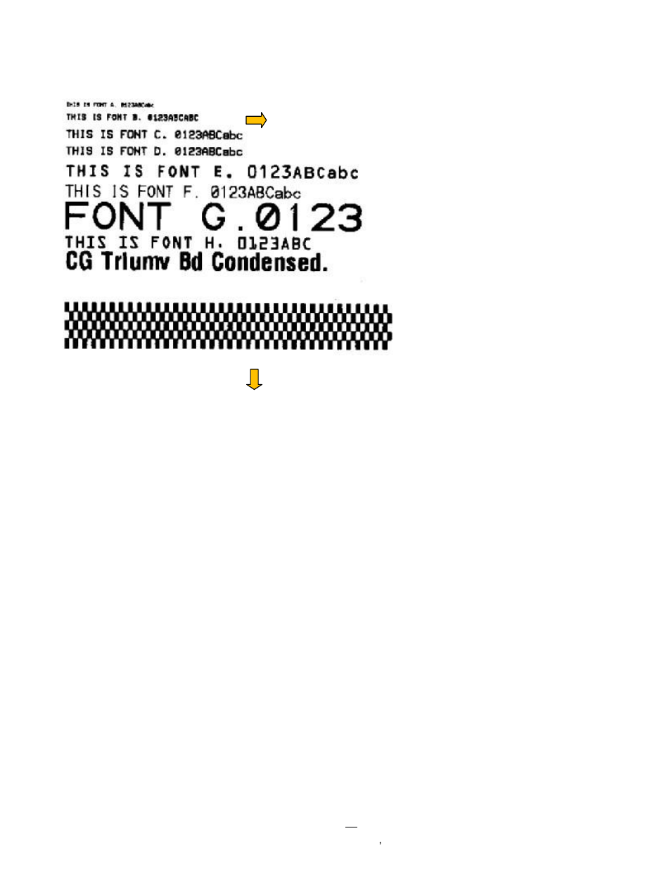 AMT Datasouth Fastmark PT-1 User Manual | Page 27 / 32