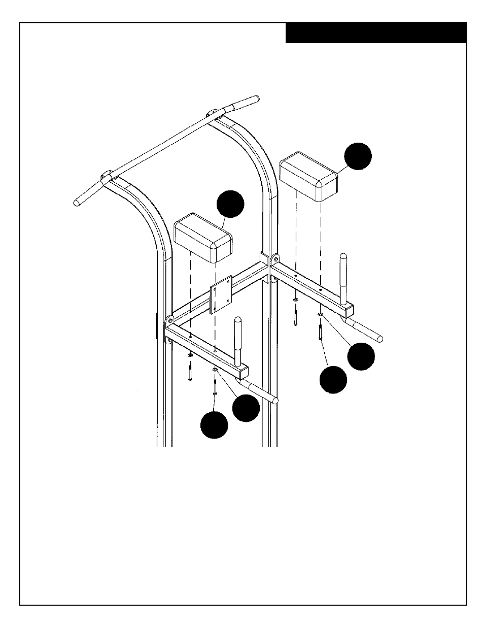 Deltech Fitness DF6800- Vertical Knee Raise User Manual | Page 8 / 12